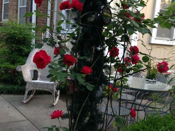 Port City Guest House Wilmington  Kültér fotó
